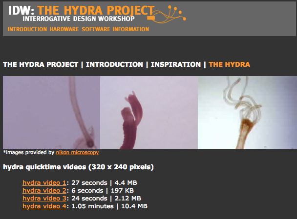 The Hydra Project