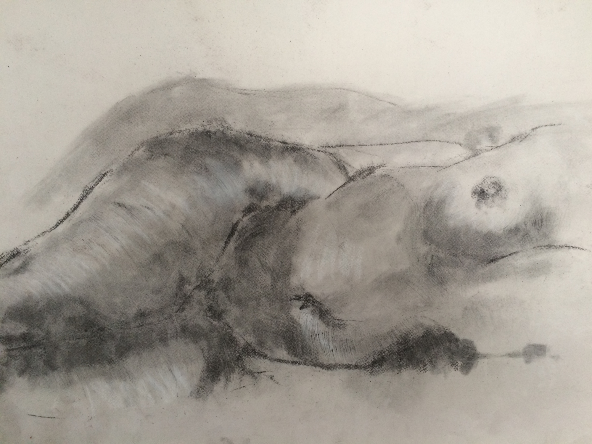 Life Drawing Studies for Sculpture